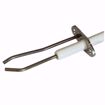 Picture of 100165929 LOCHINVAR   IGNITOR W/GASKET