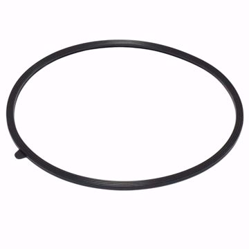 Picture of 100208093  A.O. SMITH  K,DOOR GASKET,RUBBER