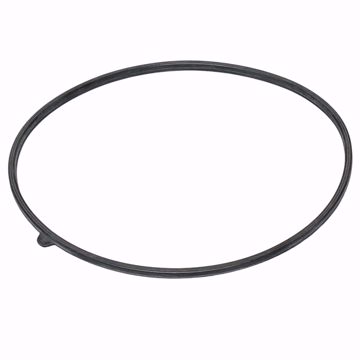 Picture of 100208088 LOCHINVAR K,GASKET,DOOR,RUBBER, OLD # GKT2455K