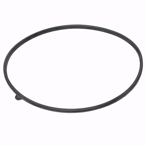 Picture of 100208088 LOCHINVAR K,GASKET,DOOR,RUBBER, OLD # GKT2455K