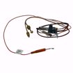 Picture of 100110984 LOCHINVAR K,PILOT ASSEMBLY W/TUBING,WR,NATURAL