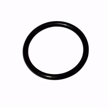 Picture of V2017500 LAARS O-RING, FLANGED GAS VALVE