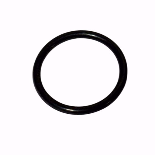 Picture of V2017500 LAARS O-RING, FLANGED GAS VALVE