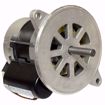 Picture of 1/7HP 115V 3450 RPM REPLACES BECKETT 21805U