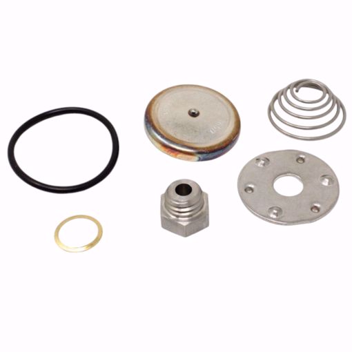 Picture of 70541  SARCO RT STEAM TRAP REPAIR KIT