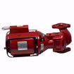 Picture of BELL & GOSSETT 100 SERIES NFI IRON BODY CIRCULATO