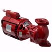 Picture of BELL & GOSSETT 100 SERIES NFI IRON BODY CIRCULATO