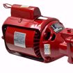Picture of BELL & GOSSETT 100 SERIES NFI IRON BODY CIRCULATO