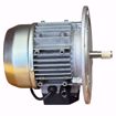 Picture of RIELLO MOTOR 1/2 HP, 3450 RPM, 120V 60HZ