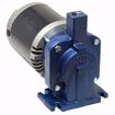 Picture of EN180025 ELITE PUMP AND MOTOR ASSEMBLY 1/3 HP 208-230V/460V 3 PHASE