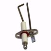 Picture of 103005-02 BURNHAM REPLACEMENT IGNITER KIT (INCLUDES GASKET AND HARDWARE)