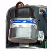 Picture of 1/10,1/15,1/25,1/40HP 115V