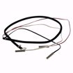 Picture of 100113135 A.O. SMITH  K,AMBIENT/COIL DISCARGE TEMP SENSOR, OLD # 9008852005