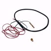Picture of 100113136 A.O. SMITH   K,UPPER/LOWER TANK TEMP SENSOR, OLD # 9008853005