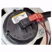 Picture of NATURAL GAS CONVERSION BURNER W/ GENISYS 7590 3/4 INCH