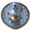 Picture of S31610D HAUCK S-3-1610D OIL METERING VALVE (SELF CLEANING