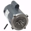 Picture of O217 MARATHON 1 HP 3450 RPM 1PH 56C FRAME