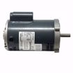 Picture of O217 MARATHON 1 HP 3450 RPM 1PH 56C FRAME