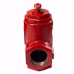 Picture of 107020 BELL & GOSSETT SA 1 1/2 1-1/2 NPT FLO-CONTROL V