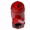 Picture of 107020 BELL & GOSSETT SA 1 1/2 1-1/2 NPT FLO-CONTROL V