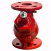 Picture of BELL & GOSSETT 2 TRIPLE DUTY VALVE