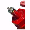 Picture of BELL & GOSSETT 2 TRIPLE DUTY VALVE