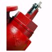 Picture of BELL & GOSSETT 2 TRIPLE DUTY VALVE