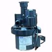 Picture of LTA SERIES PUMPS