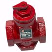 Picture of B & G SA 1 1/4 1 1/4 NPT FLO-CONTROL VALVE STRA