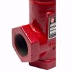 Picture of B & G SA 1 1/4 1 1/4 NPT FLO-CONTROL VALVE STRA