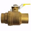 Picture of H-50704W WEBSTONE 1" SWT FP LF DZR BR BV
