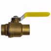 Picture of H-50704W WEBSTONE 1" SWT FP LF DZR BR BV