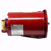 Picture of 169231 BELL & GOSSETT BALL BEARING MOTOR 3/4HP 208/230/4