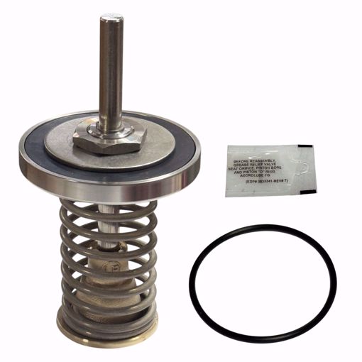 Picture of 0794096 WATTS LFRK 909-CK1 2 1/2-3