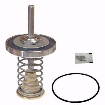 Picture of 0794101 WATTS LFRK 909-CK2 2 1/2-3