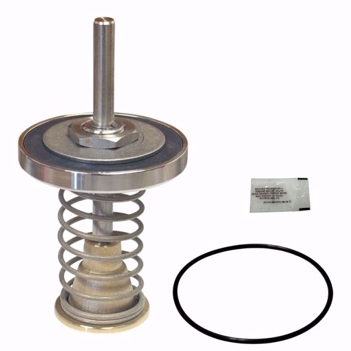 Picture of 0794101 WATTS LFRK 909-CK2 2 1/2-3