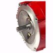 Picture of 169236 B&G 1-1/2HP 1750RPM 1 PHASE MOTOR