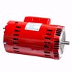 Picture of 169236 B&G 1-1/2HP 1750RPM 1 PHASE MOTOR
