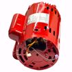 Picture of 169236 B&G 1-1/2HP 1750RPM 1 PHASE MOTOR