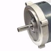 Picture of O214 MARATHON 3/4 HP 3450 RPM 56C FRAME 115/230V 1PH MOTOR