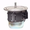 Picture of 3012993 RIELLO MOTOR 1/2 HP, 3400 RPM, 120V 60HZ