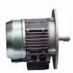 Picture of 3012993 RIELLO MOTOR 1/2 HP, 3400 RPM, 120V 60HZ