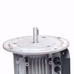 Picture of 3012993 RIELLO MOTOR 1/2 HP, 3400 RPM, 120V 60HZ