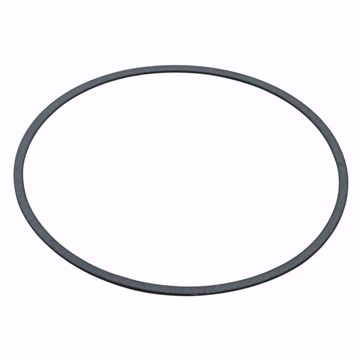 Picture of A2117900 LAARS PUMP GASKET