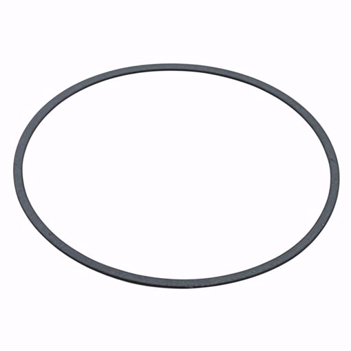 Picture of A2117900 LAARS PUMP GASKET
